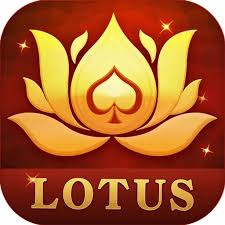 teen patti pop apk download